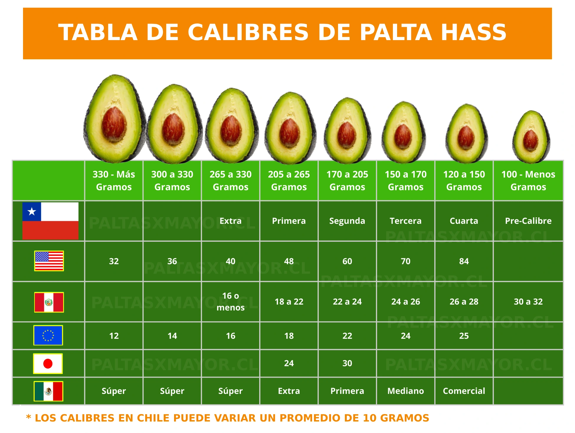 TABLA-DE-CALIBRES-Y-PESO-PALTA-HASS-EN-CHILE-PALTASXMAYOR.CL-2025 tabla de calibres de palta hass internacional