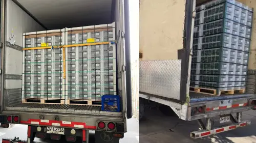 PALTAS POR MAYOR PERUANAS POR CONTAINER